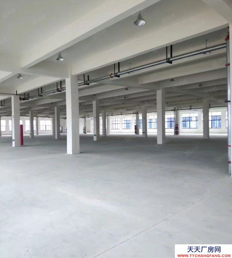 (出租) 合肥蜀山經開主干道上獨棟1001平標準廠房 ,場地寬敞