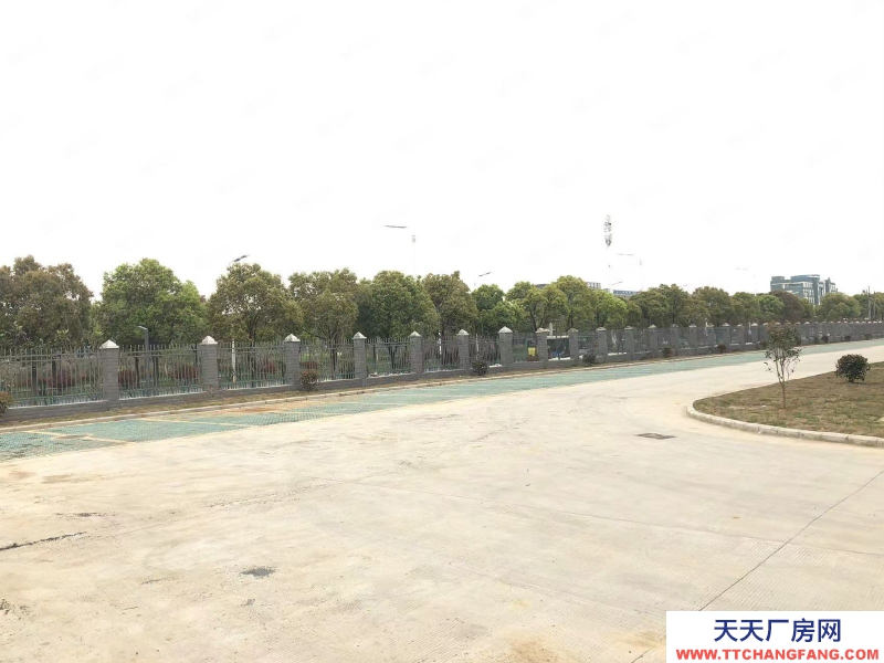 (出租) 合肥蜀山經開主干道上獨棟1001平標準廠房 ,場地寬敞