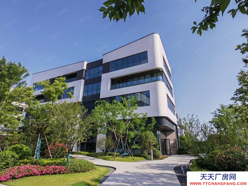 (出租)合肥 蜀山區 西二環 地鐵口 精裝修 可分割