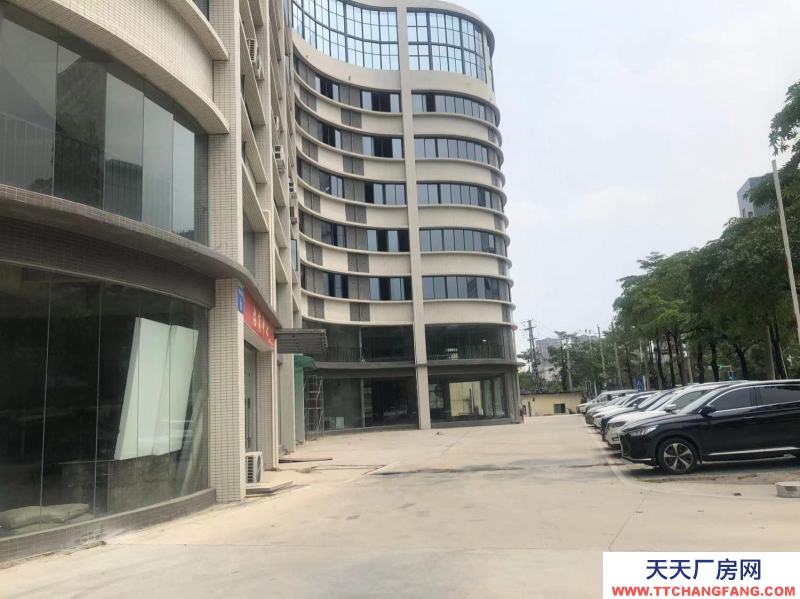 南寧市西鄉塘區(出租) 科興路6號 全新毛坯房，可做廠房、寫字樓、辦公樓