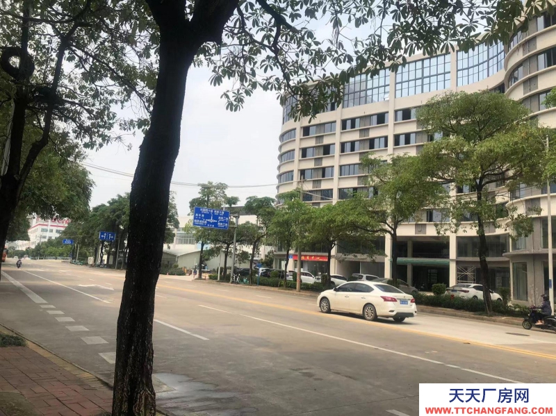 南寧市西鄉(xiāng)塘區(qū)(出租) 科興路6號 全新毛坯房，可做廠房、寫字樓、辦公樓