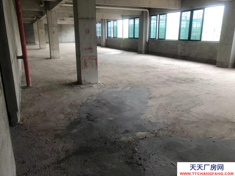 南寧市西鄉(xiāng)塘區(qū)(出租) 科興路6號 全新毛坯房，可做廠房、寫字樓、辦公樓