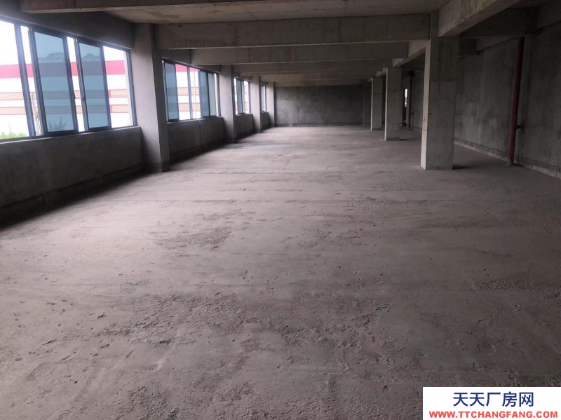 南寧市西鄉(xiāng)塘區(qū)(出租) 科興路6號 全新毛坯房，可做廠房、寫字樓、辦公樓