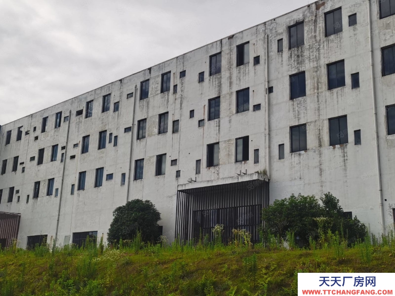 杭州富陽(出售) 占地36畝獨門獨院獨棟廠房出售一億元