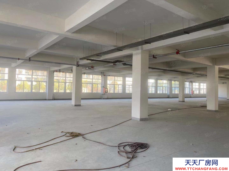 (出租) 合肥蜀山四季花海旁邊框架廠房廠房可分租可整租每層約2000平