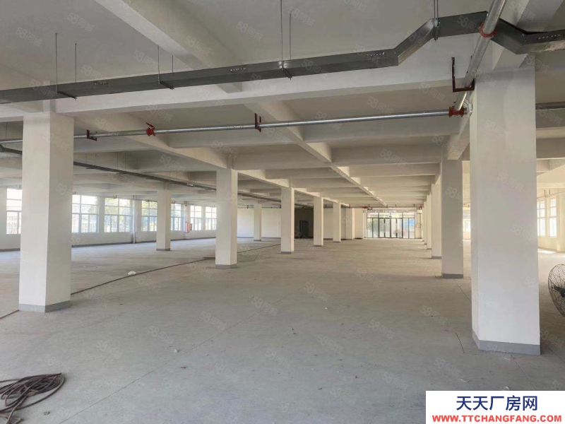 (出租) 合肥蜀山四季花海旁邊框架廠房廠房可分租可整租每層約2000平