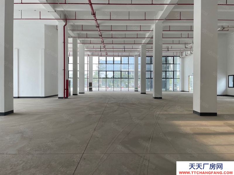 (出租) 深圳寶安興東300平方起分租廠房辦公室出租帶裝修10000平獨門獨院