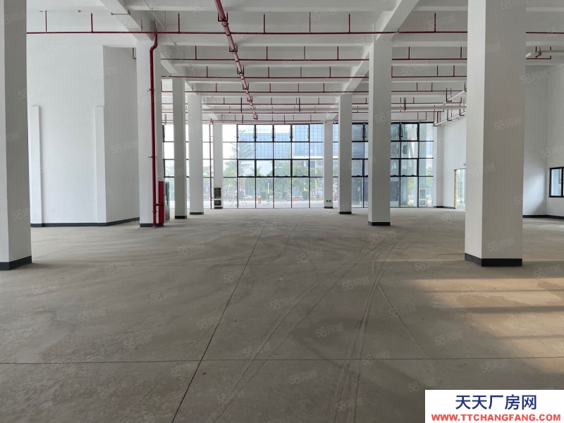 (出租) 深圳寶安興東300平方起分租廠房辦公室出租帶裝修10000平獨門獨院