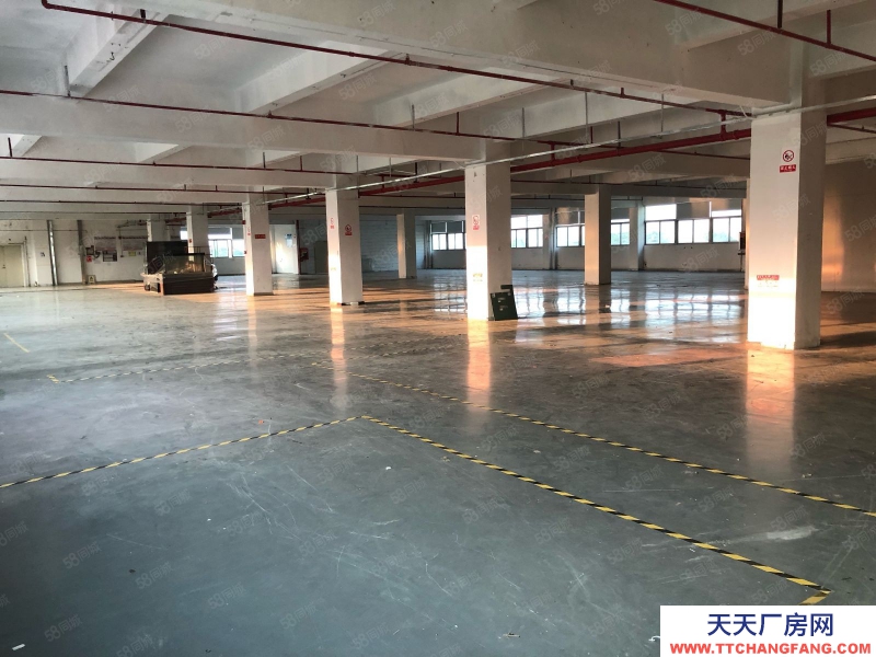 (出租) 深圳寶安石巖高速出口獨(dú)棟廠房7800平，工業(yè)園帶噴淋招租可分租