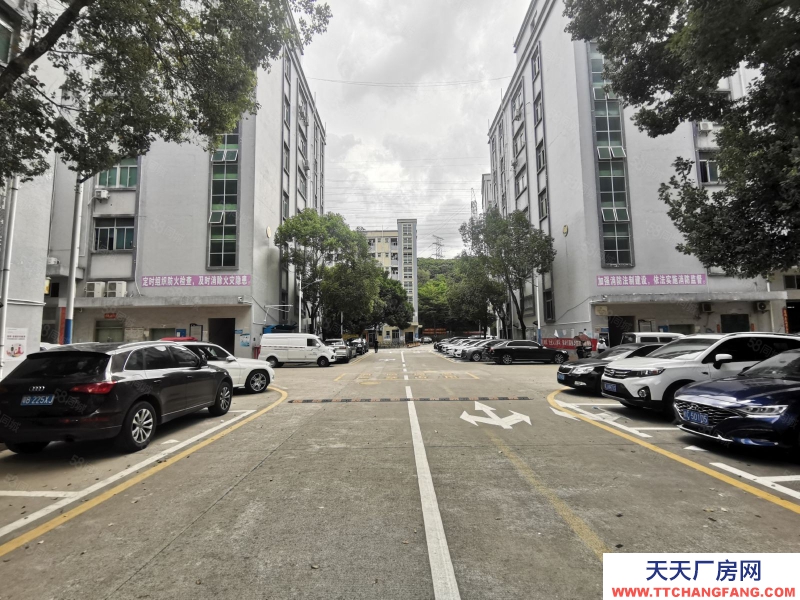 (出租) 深圳寶安光明原房東無公攤一樓帶牛角廠房出租2000平大小可分倉庫出租