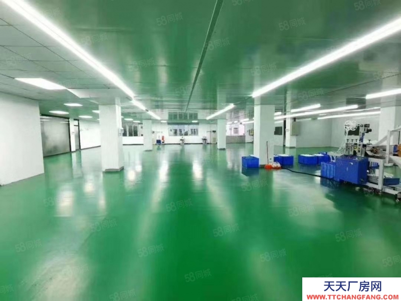 (出租) 深圳寶安福永107國道鳳凰樓上豪華裝修廠房出租帶無塵車間1500平方