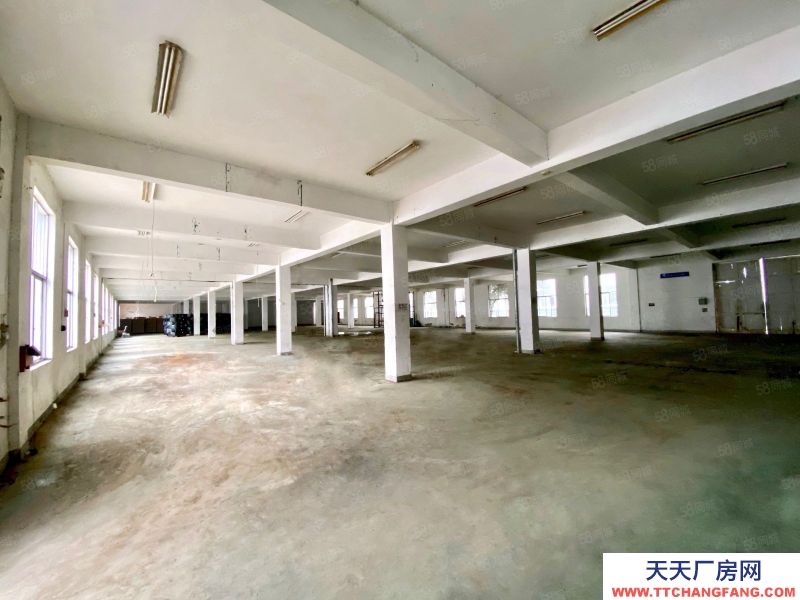 杭州建德(出租) 高速口 標(biāo)準(zhǔn)廠房 帶精裝辦公 整棟出租