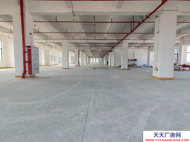 (出租) 深圳寶安石巖靠南山原房東全新紅本低價廠房出租2000平倉庫出租可分租