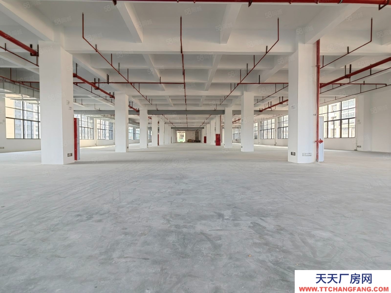 (出租) 深圳寶安石巖靠南山原房東全新紅本低價廠房出租2000平倉庫出租可分租