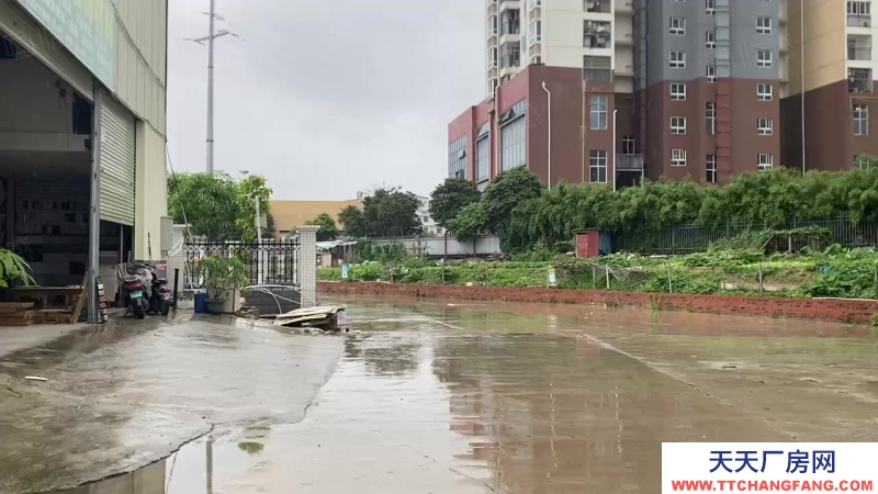 南寧市西鄉塘區(出租) 南寧市安武大道安武建材城新推二期路邊商鋪式