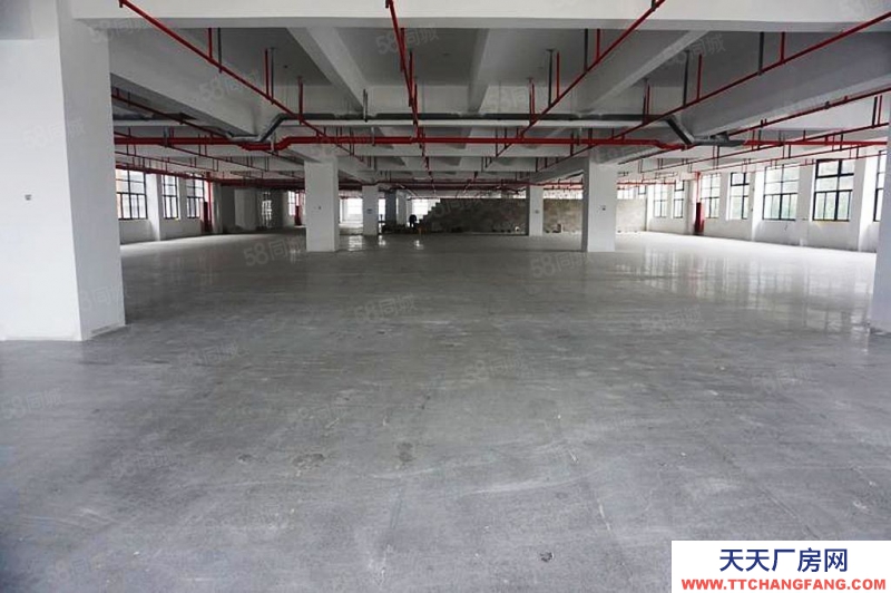 杭州建德(出租) 3200方標準廠房帶1500方綜合樓出租