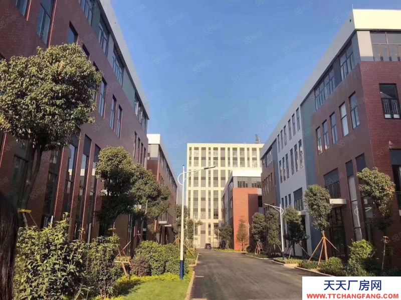 (出售) 合肥蜀山首開8.1米挑高兩層獨棟花園廠房,五十年獨立產權