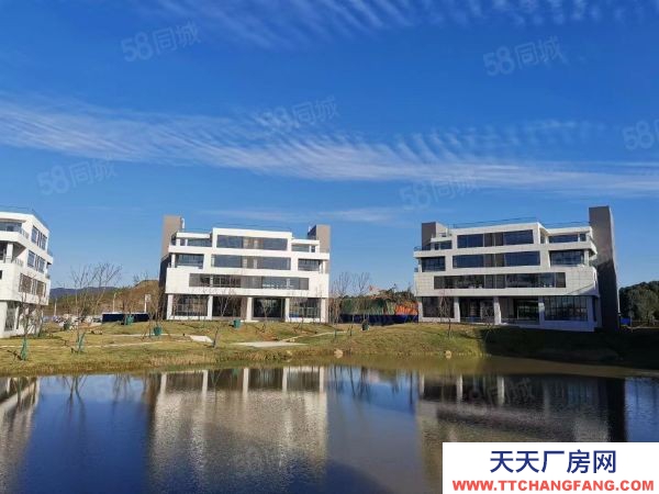 長沙市開福區 上市國企開發400平起廠房出售