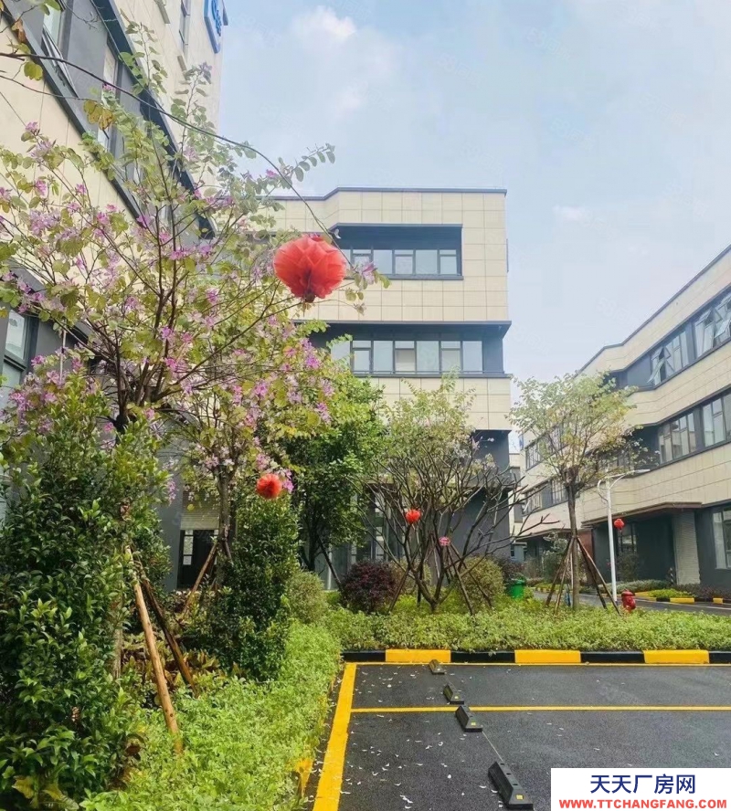 (出售) 合肥蜀山小廟核心經濟示范區,首層8.1米,可架行車,超低價格