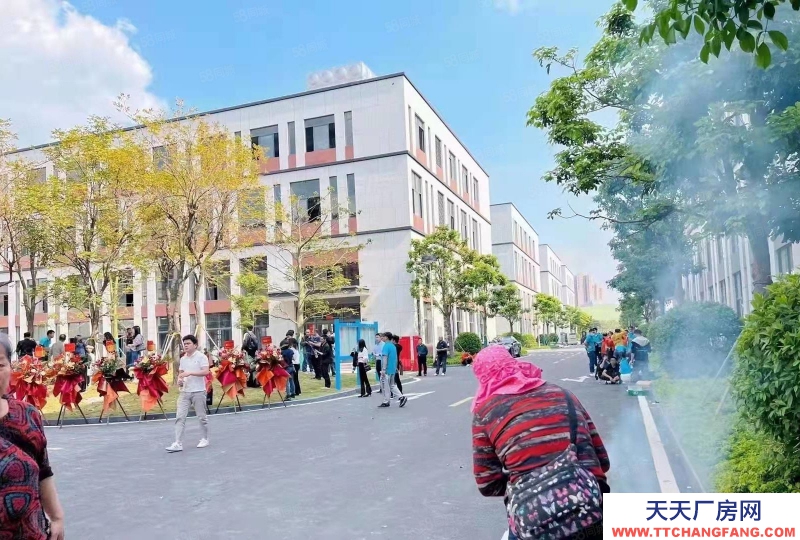 (出售) 合肥廬陽筑巢引鳳!政府重點項目!打造產(chǎn)業(yè)集群!核心地段!配套齊全!