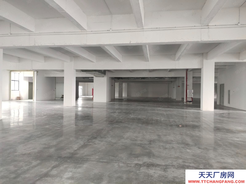 (出售) 深圳寶安水口高速國道附近鋼混全新環評廠房租售寶安