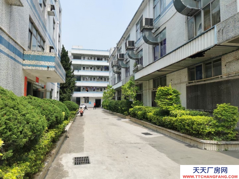 (出售) 深圳龍崗吉祥地鐵站紅本廠房出售 57000平米，大小面積都可以