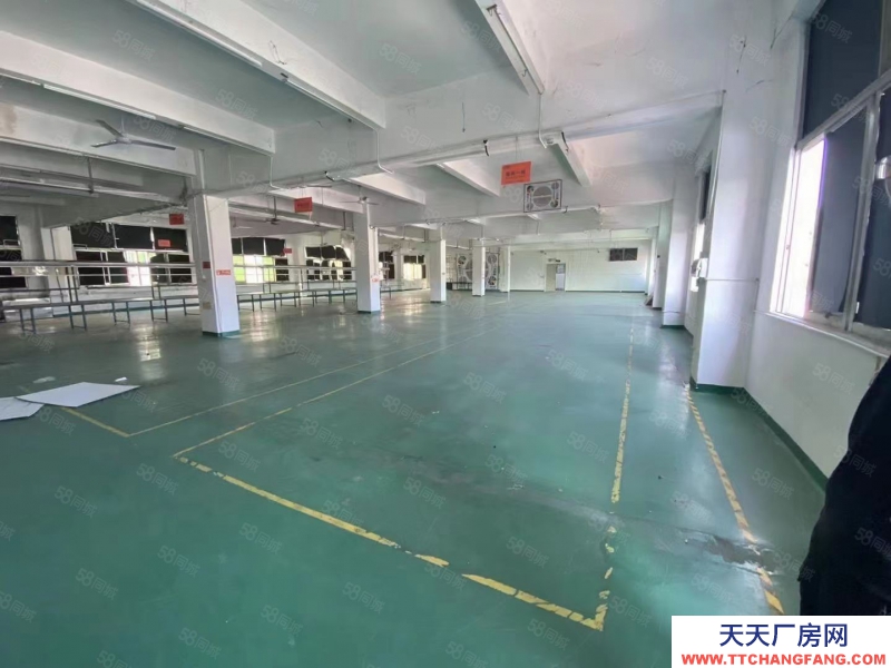 (出租) 深圳龍崗坪山新出獨棟10000平方廠房大小可以分租