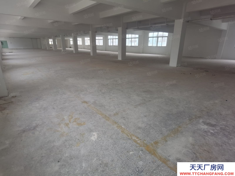 (出租) 深圳龍崗愛聯高速出口原房東1000平2000平方廠房倉庫出租