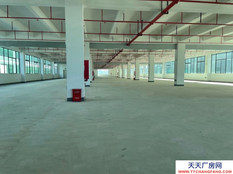 (出租) 原房東低價(jià)出租!深圳龍崗南聯(lián)2350平一樓廠房倉(cāng)庫(kù)出租 層高7米