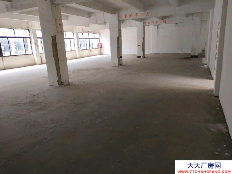 (出租) 深圳鹽田獨(dú)院廠房,車位充足。