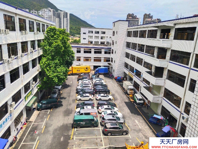 (出租) 深圳鹽田獨院廠房，車位充足。