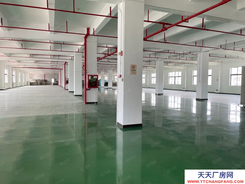 (出租) 深圳鹽田工業(yè)園獨(dú)棟5000平辦公室倉庫廠房出租