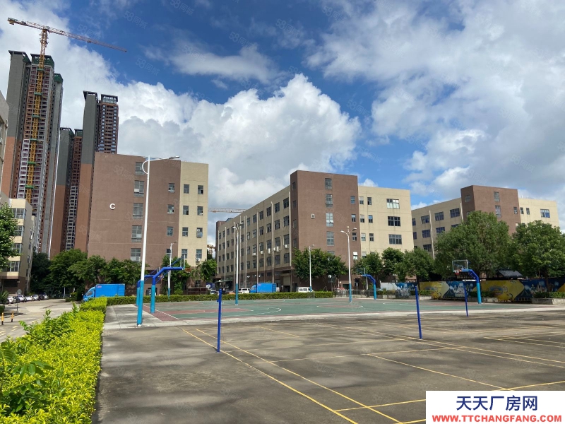 (出租) 深圳鹽田沙頭角工業(yè)區(qū)新空出整棟1.2萬(wàn)平方廠房倉(cāng)庫(kù)出租