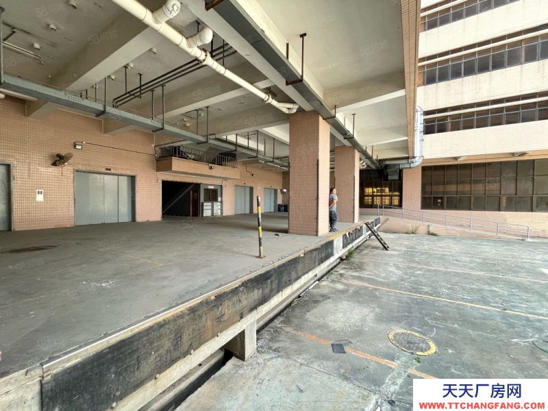 (出租) 深圳鹽田沙頭角新出一樓1000平紅本廠房倉庫招租，生產等行業