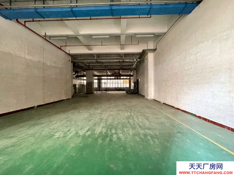 (出租) 深圳鹽田沙頭角新出一樓1000平紅本廠房倉庫招租，生產等行業