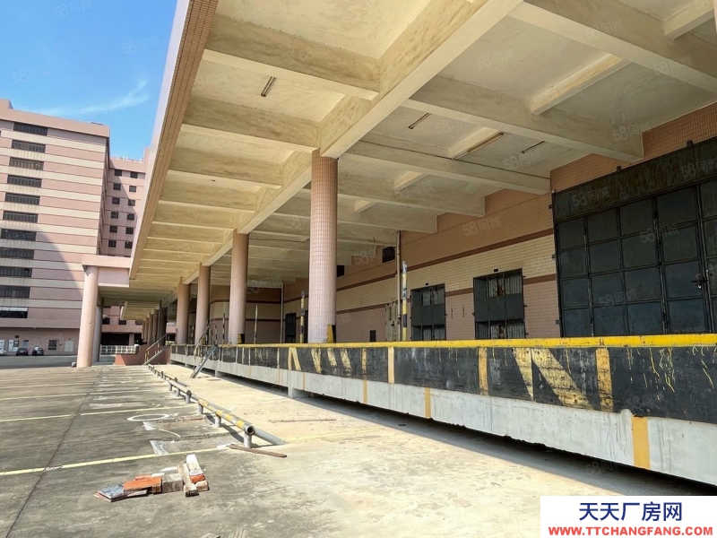 (出租) 鹽田超10萬平方物流，電商，工業(yè)綜合體，廠房倉庫出租