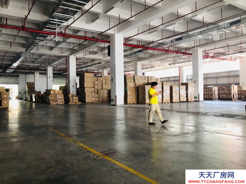 (出租) 鹽田超10萬平方物流，電商，工業(yè)綜合體，廠房倉庫出租