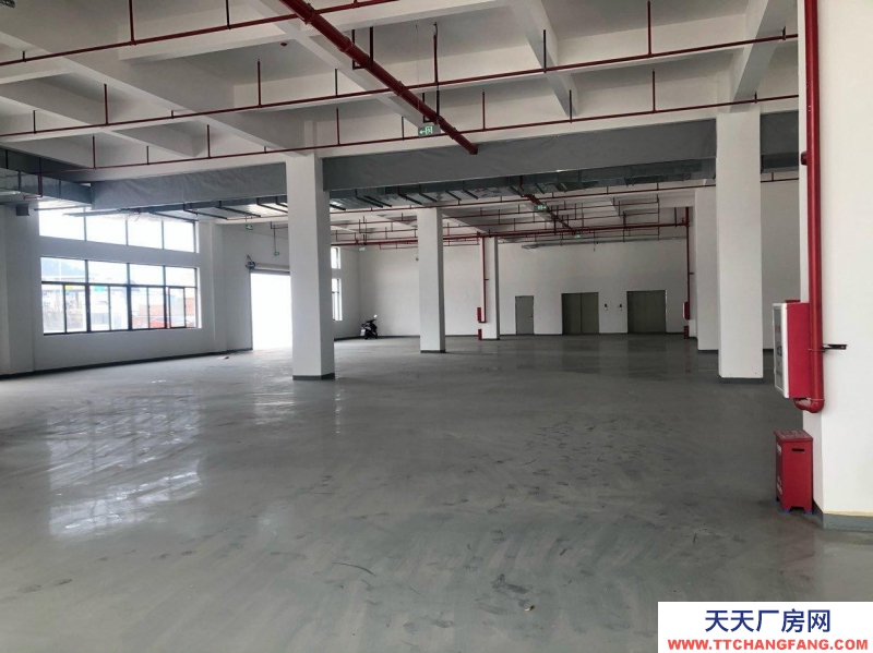 (出租) 深圳鹽田保稅區(qū)現(xiàn)有8萬平廠房倉(cāng)庫(kù)空出出租