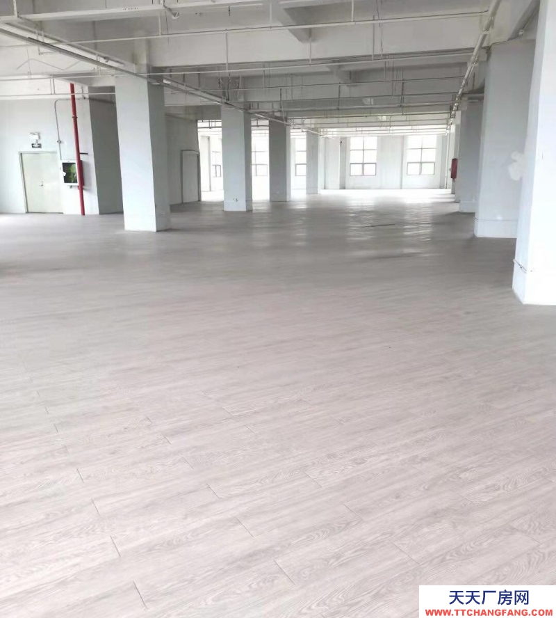 (出租) 深圳鹽田高速口廠房倉(cāng)庫(kù)出租