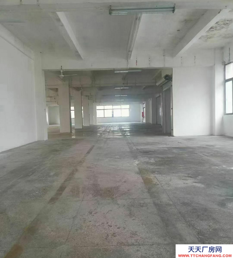 (出租) 深圳鹽田廠房倉(cāng)庫(kù)招租，168-2000平方