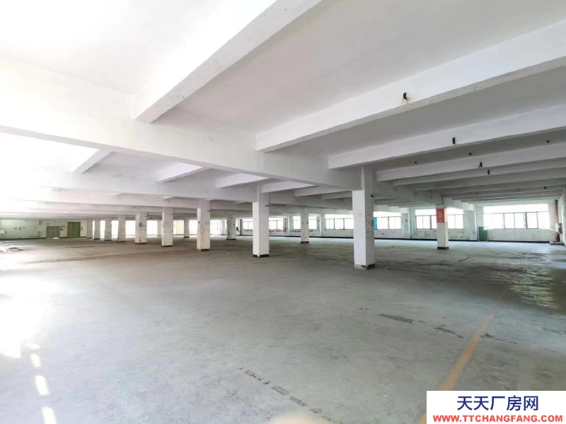 (出租) 深圳鹽田沙頭角10萬平廠房倉(cāng)庫(kù)出租