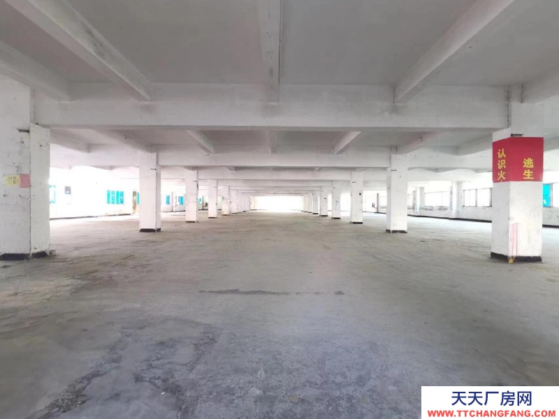 (出租) 深圳鹽田沙頭角10萬平廠房倉庫出租