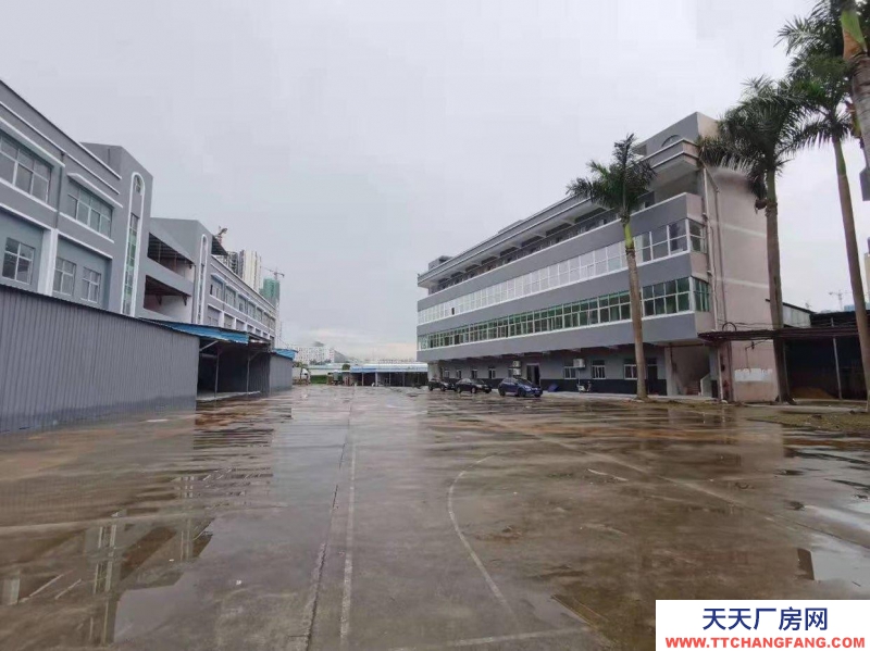 (出租) 深圳鹽田沙頭角10萬平廠房倉庫出租