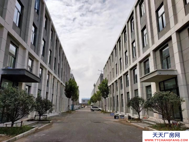 青島即墨年中特惠，出售1200平廠房