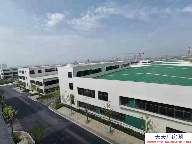 (出售) 合肥廬陽層高9至11米 單層輕鋼廠房1500至3000平出售