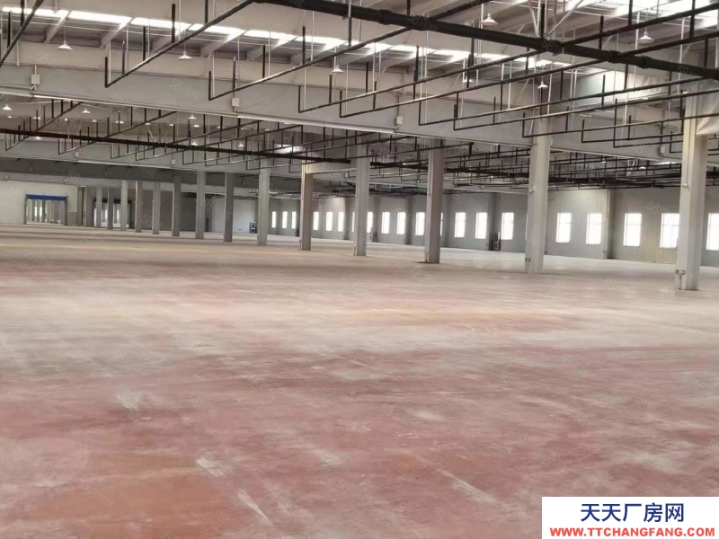 青島即墨區(qū)天山一路邢家?guī)X14000平倉庫直租（可分割，無中介）