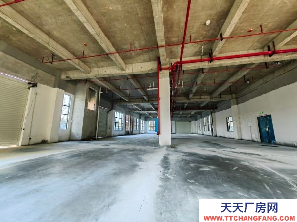 長(zhǎng)沙市開(kāi)福區(qū) 灣田附近1700平米一樓廠房出售地鐵高速口