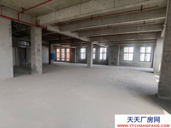 長沙市開福區(qū)老百姓國藥總部旁廠房,現(xiàn)房,1萬平,可過G