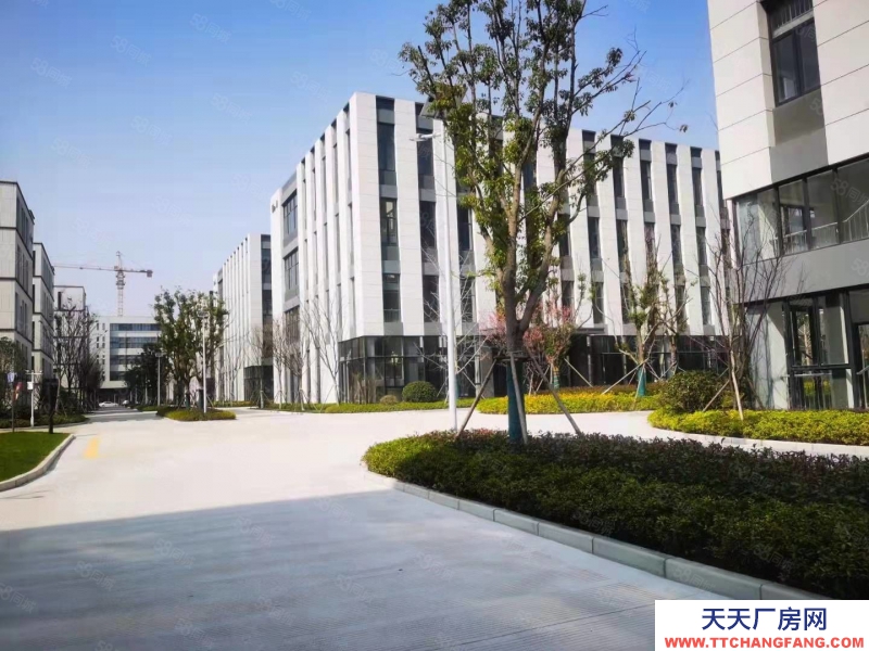 (出租) 合肥廬陽智造創(chuàng)新產(chǎn)業(yè)城！政策扶持！核心地段！配套齊全！