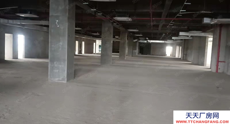 南寧市西鄉塘區(出租) 特惠房源出租 10元一平起租 標準廠房 還剩少量房源可租